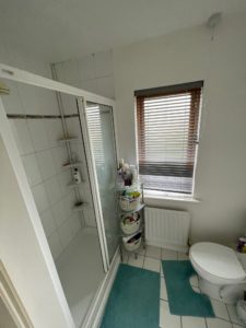 Full Bathroom Renovation in Sandyford - Before (1)