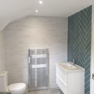 Full renovation bathroom in Bray hi - After (4)