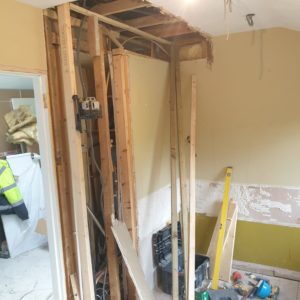 Full renovation bathroom in Bray hi - Before (3)