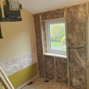 Full renovation bathroom in Bray hi - Before (7)